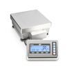 KERN FES 33K-4 - waga techniczna 33 kg / 0,1g - 4045761311336