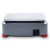 OHAUS R41ME6 Ranger 4000 6 kg / 0,2 g - waga stołowa - 30231099