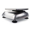 OHAUS V31XW301 Valor 3000 300 g / 0,1 g - waga stołowa - 71210133