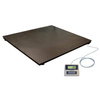 KPZ 2 300 kg / 1000 x 1000 mm - waga platformowa - 2S001010030E