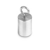 KERN Odważnik M1 100 g z hakiem - wzorzec masy - 4045761256217_347-076