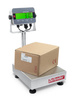 OHAUS D33XW Defender 60 kg / 10 g - waga magazynowa - 30684777