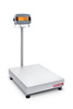 OHAUS D33P Defender 3000 600 kg / 200 g - waga magazynowa - 30685113