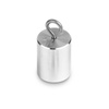 KERN Odważnik M1 50 g z hakiem - wzorzec masy - 4045761256200_347-066