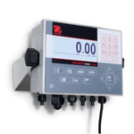 OHAUS T72XW - nierdzewny miernik wagowy - 30126957
